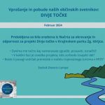 Vprašanja in pobude naših svetnikov: Divje točke